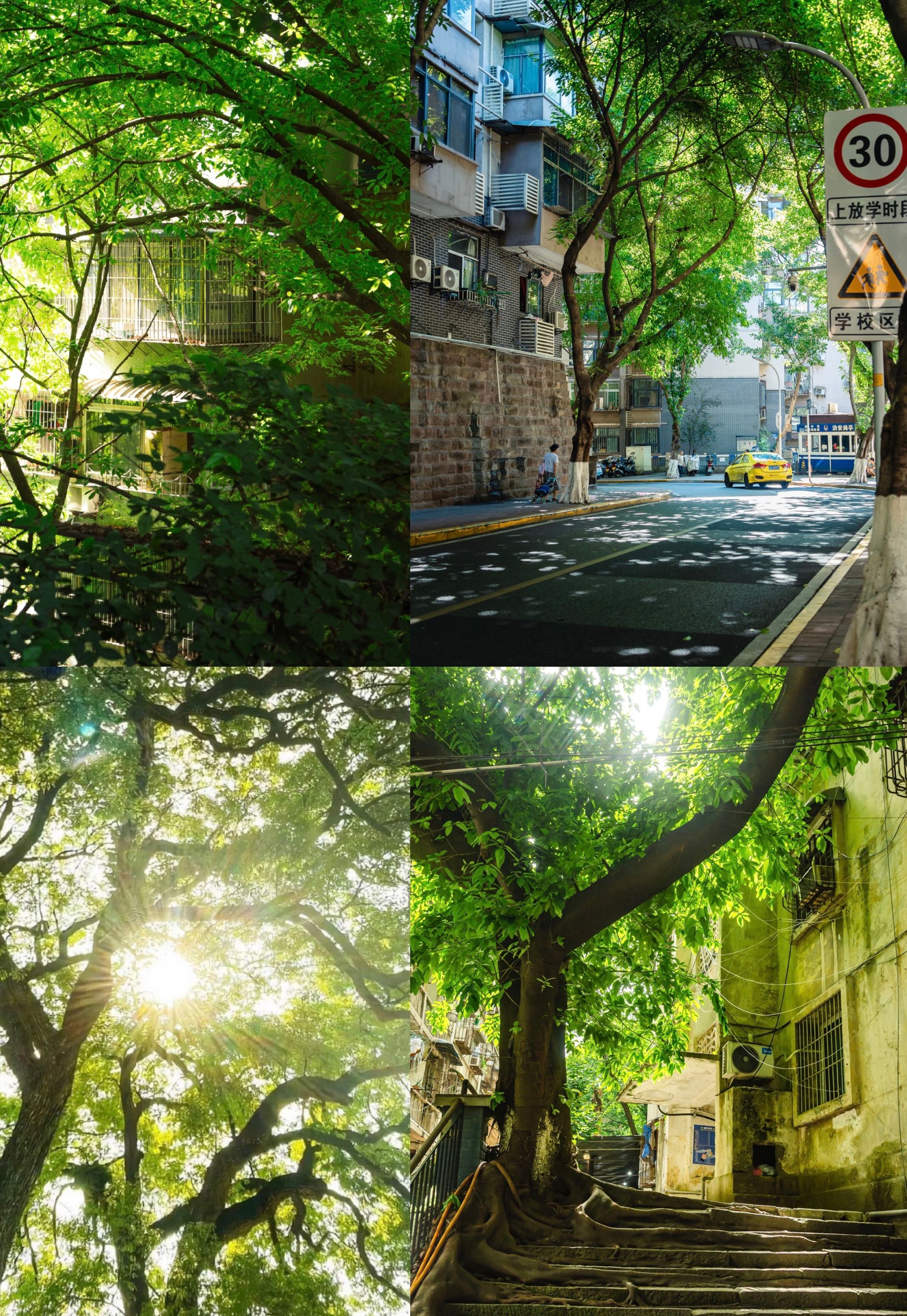夏天模拟器 - 【全性向/高自由度模拟器】夏天模拟器
