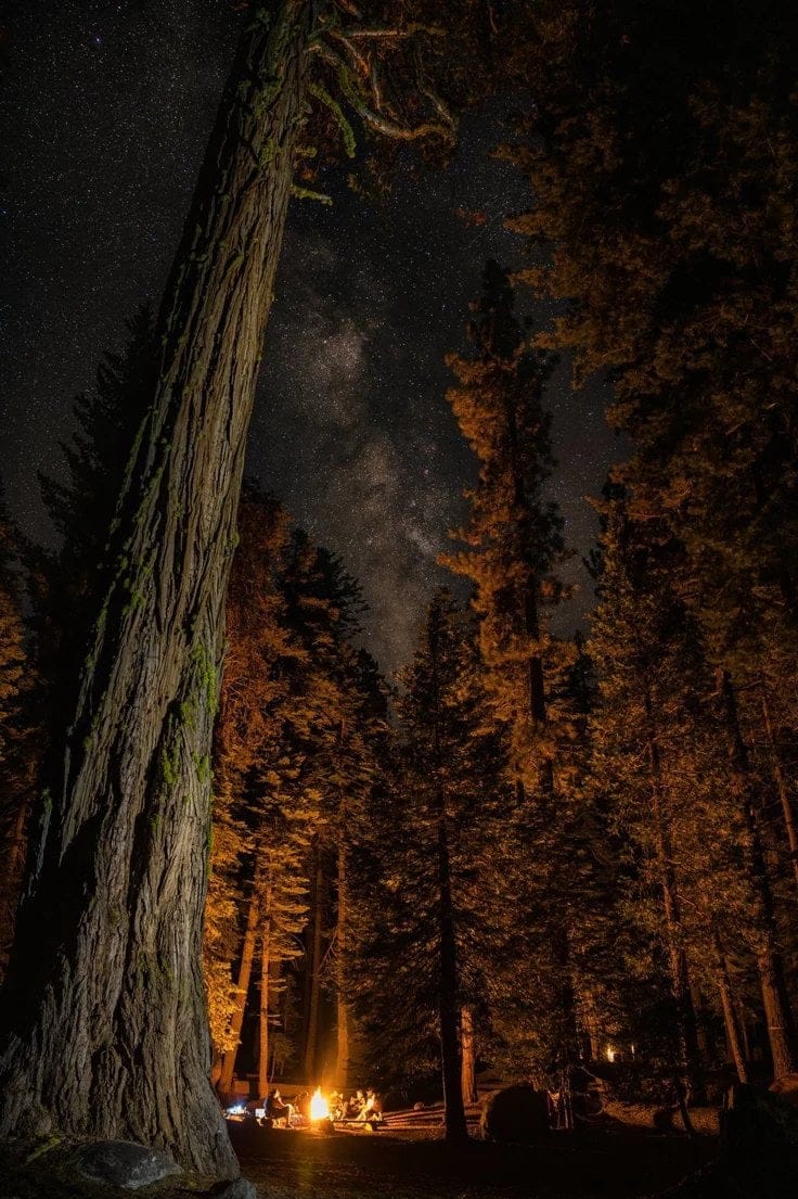 Pursuer🥩 – Die of death ROBLOX - ข้าจะจับเจ้ากินทั้งเป็น...