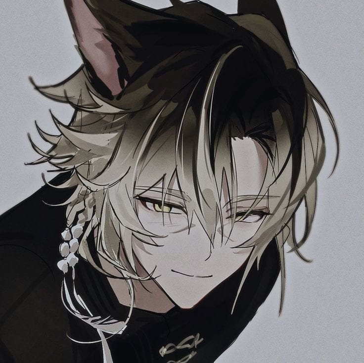 jack link - this is not bl