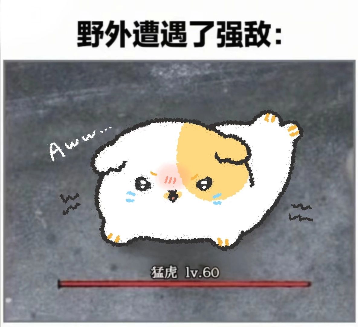 测试卡片 - 测试卡