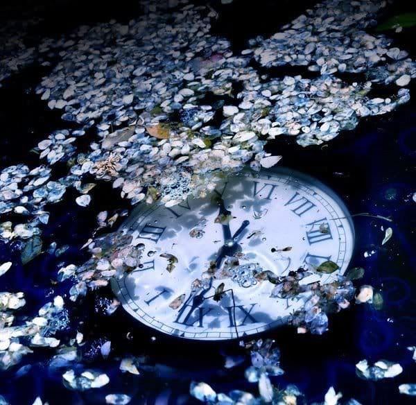 'ไครอส' - Rosa Flammae