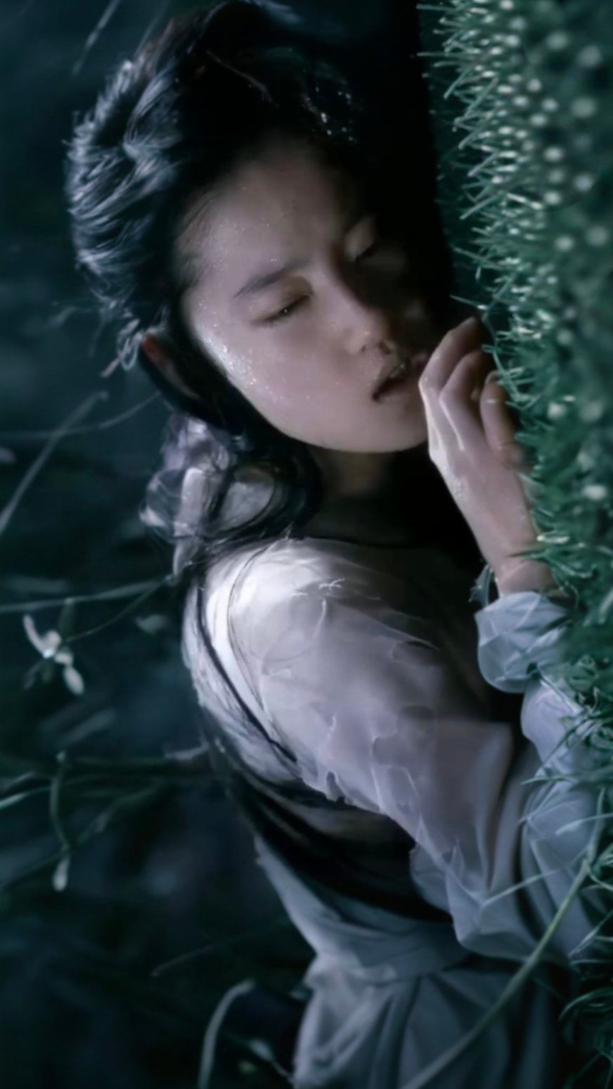 聂小倩 - 树妖姥姥惩罚聂小倩