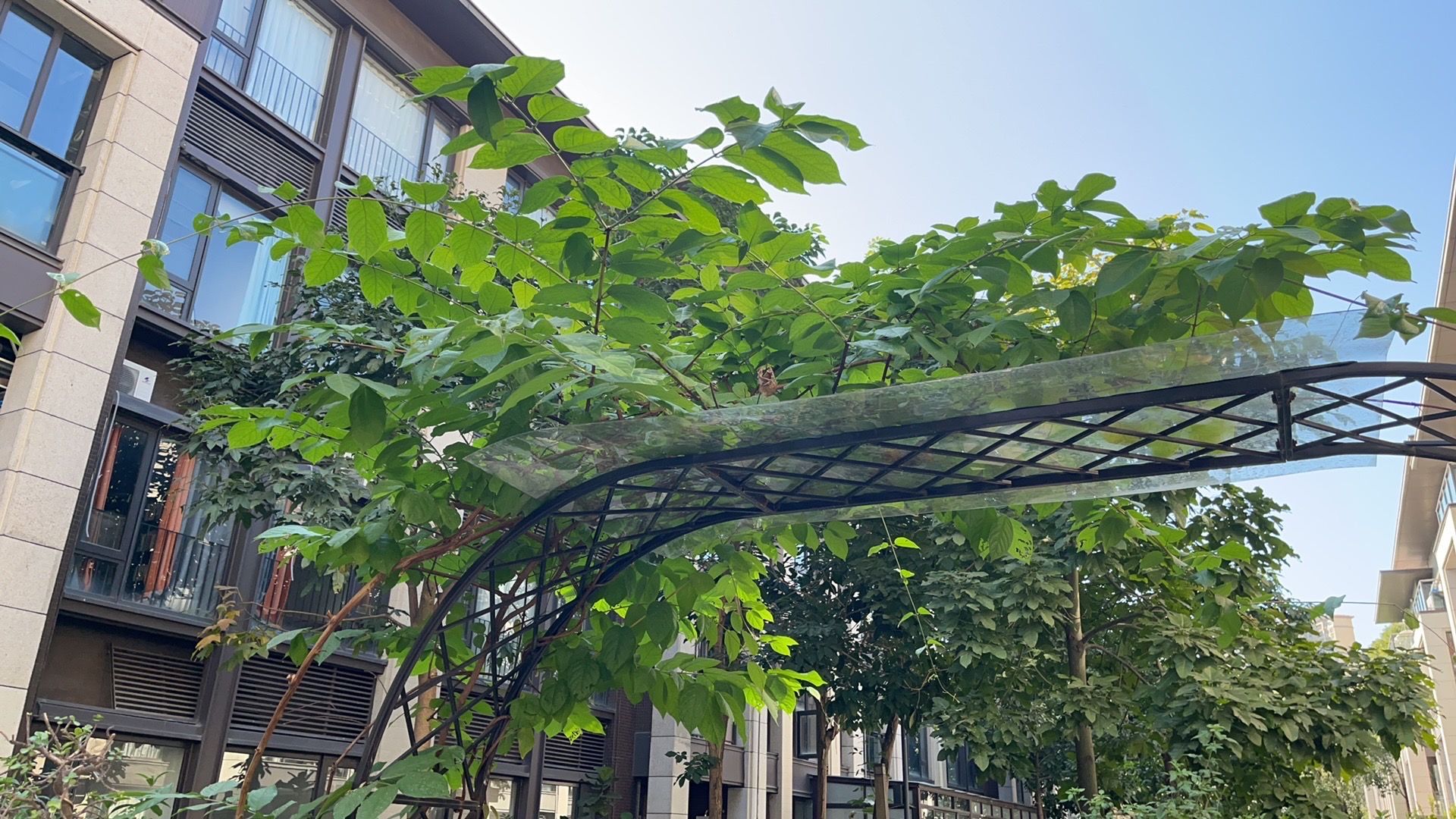 我在末世有安全屋系统模拟器 - 末世安全小屋系统