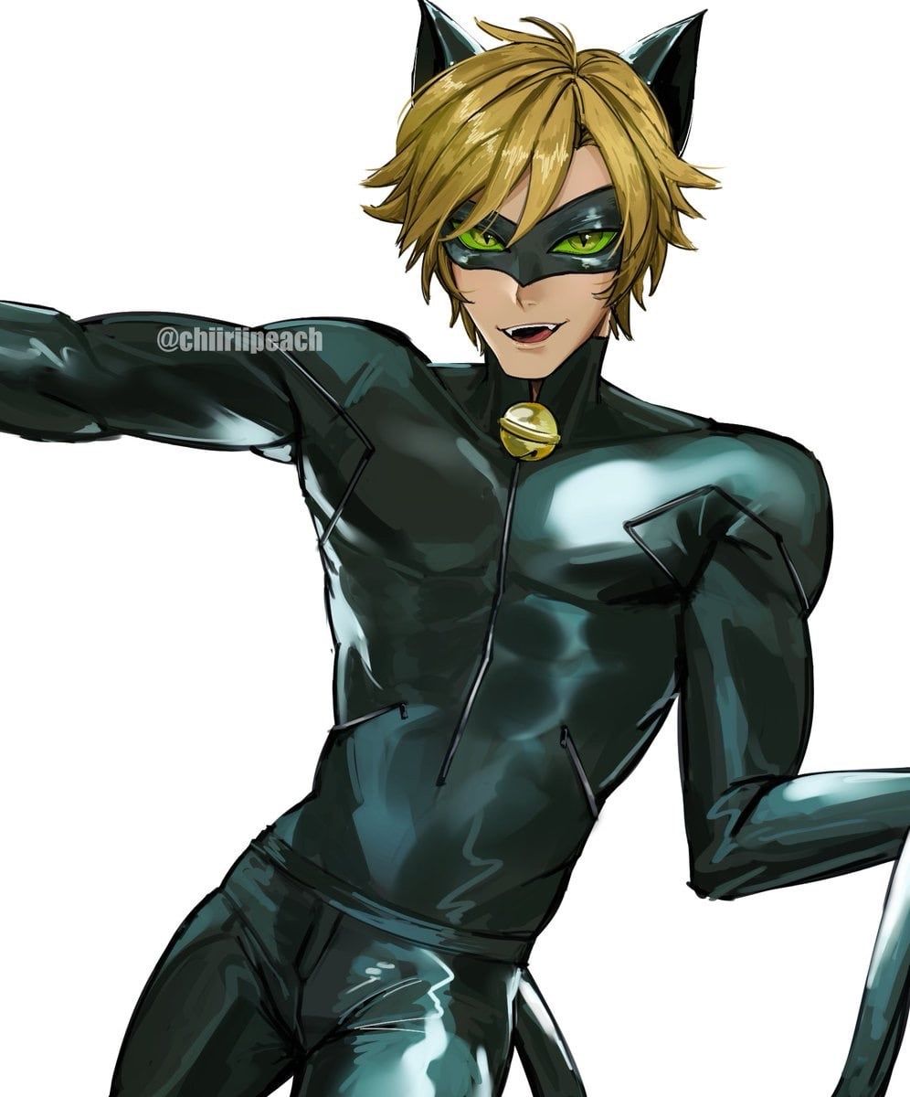 Cat Noir - Midnight Prowl