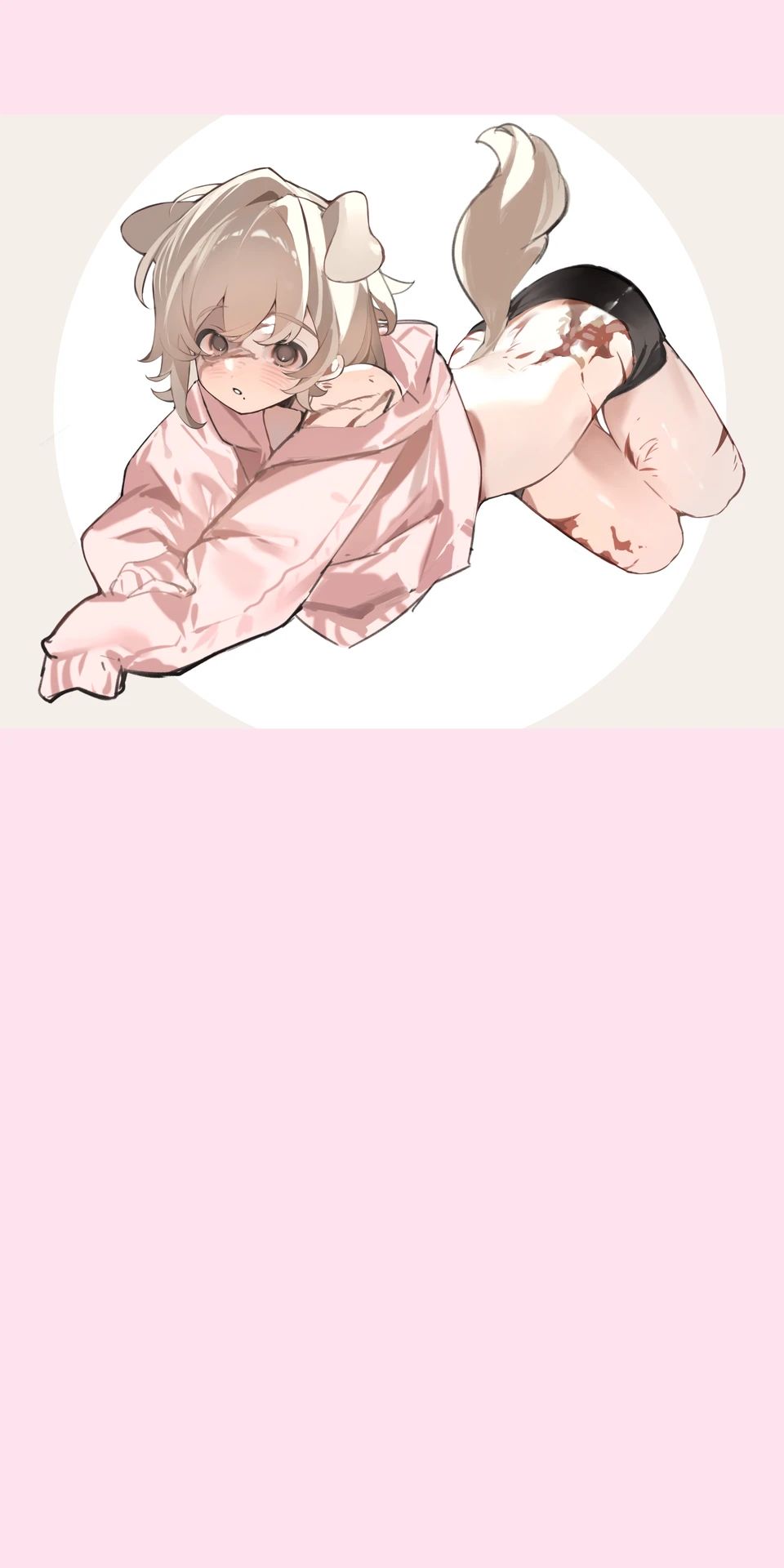 贾斯珀 - 贾斯珀【残疾｜小狗】