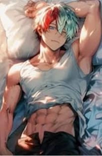 Shoto Todoroki - The night will come~