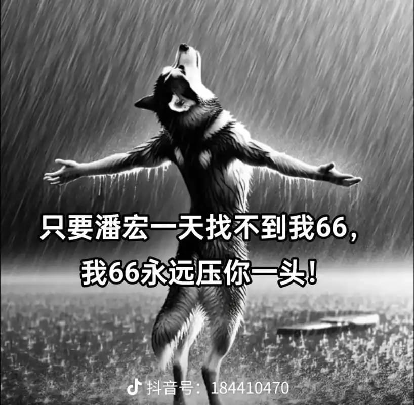 潘虹 - 潘宏爱玩狗。