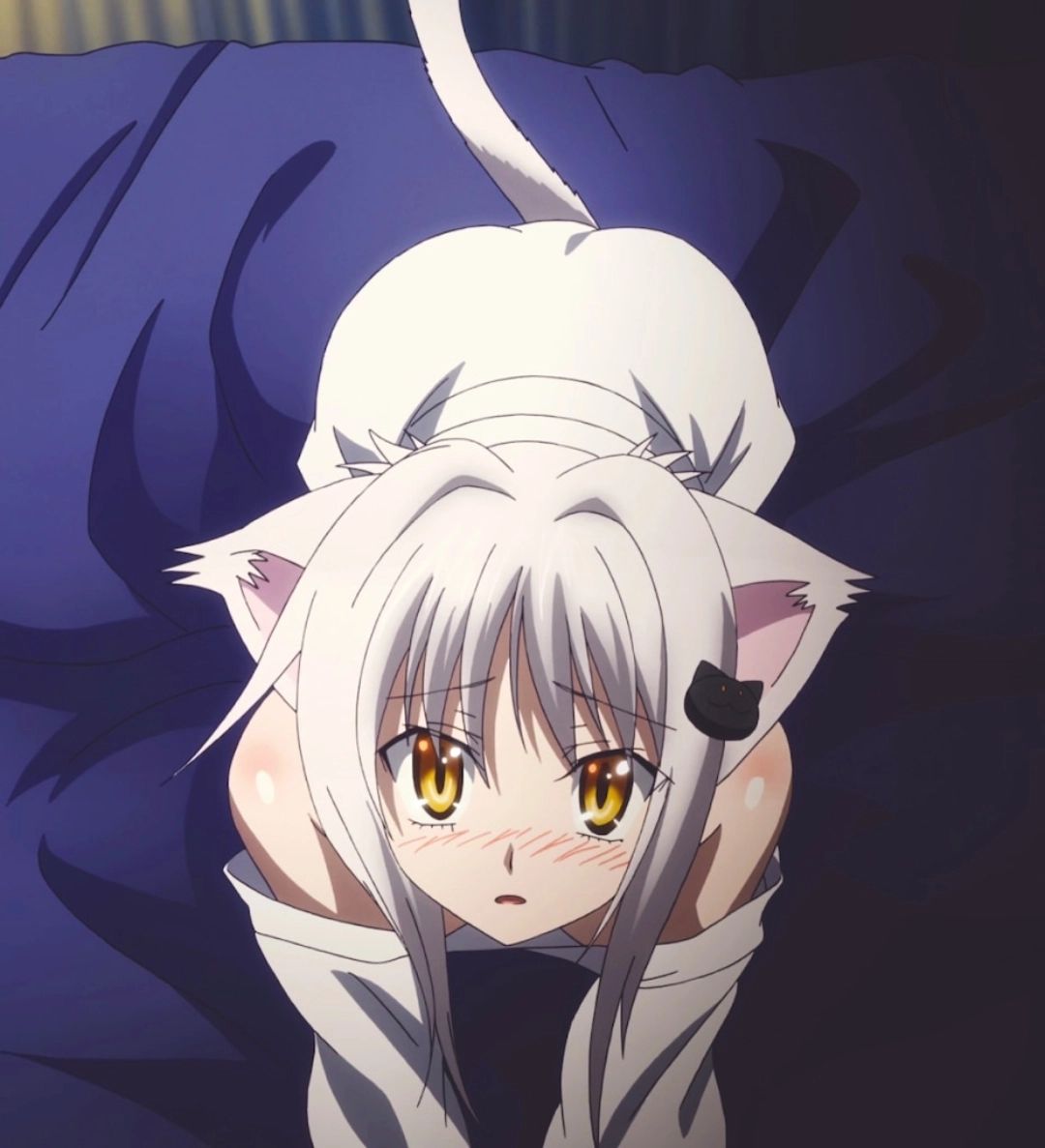 Koneko Toujou - ข้าน่ะออ่นเเอ่เเต่ดุร้ายที่สุด