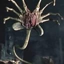 FaceHugger - FaceHugger synthetic