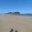 湛秋和 - 你懂的