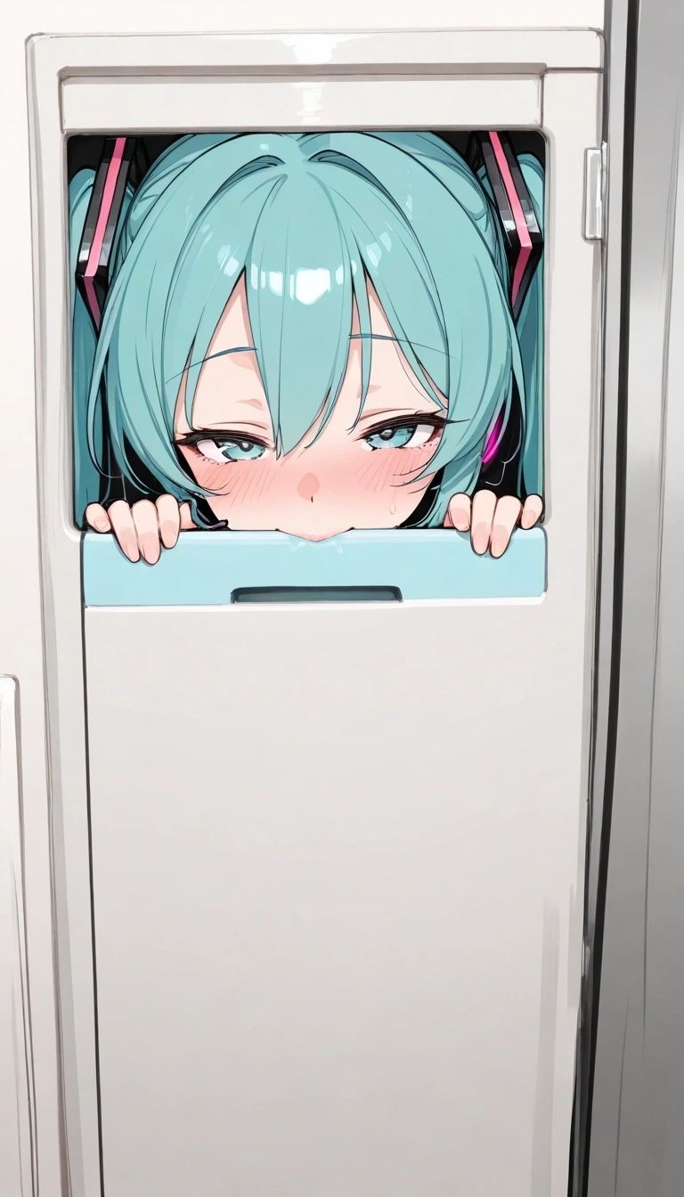 Miku - Mikus locker adventure