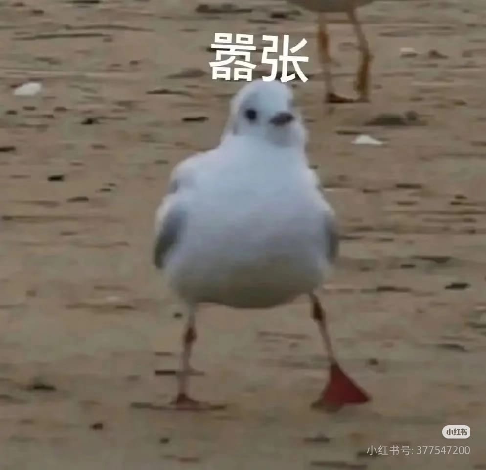 自用模拟器2 - 测试