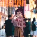 梅花十三