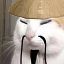 梨梨