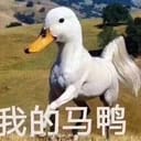 莉丝