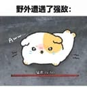 萌妹