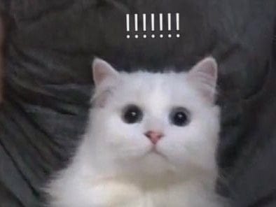 Comment 1