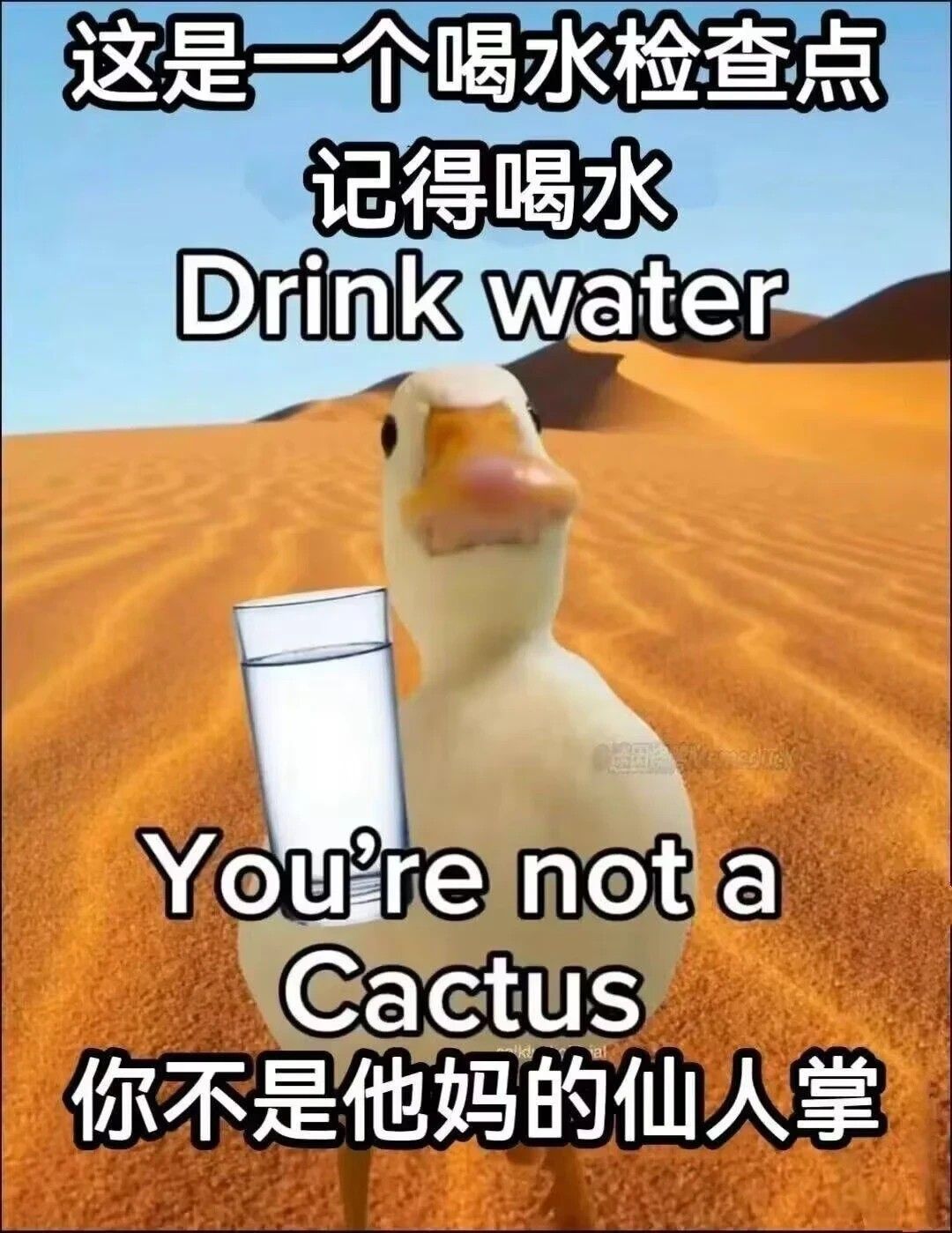 Comment 1