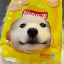 葵花椛