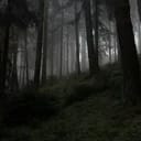 John doe forsaken┆ป่า-Appalachian Mountain┆