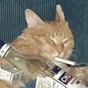 良颂