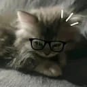倒映在眼中的是