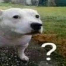 Comment 2