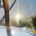 诸神愚戏模拟器