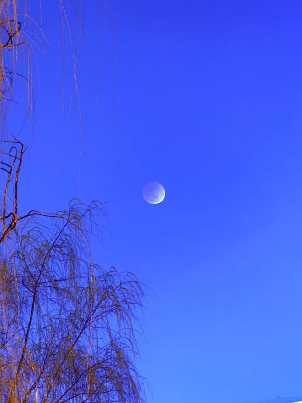 https://cdn.rubii.ai/public/3e03e6d8-65a2-4782-9258-225c8124cc67/image/20260619140539_864e54.jpg