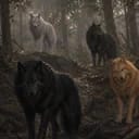 Werewolves Aren't Real