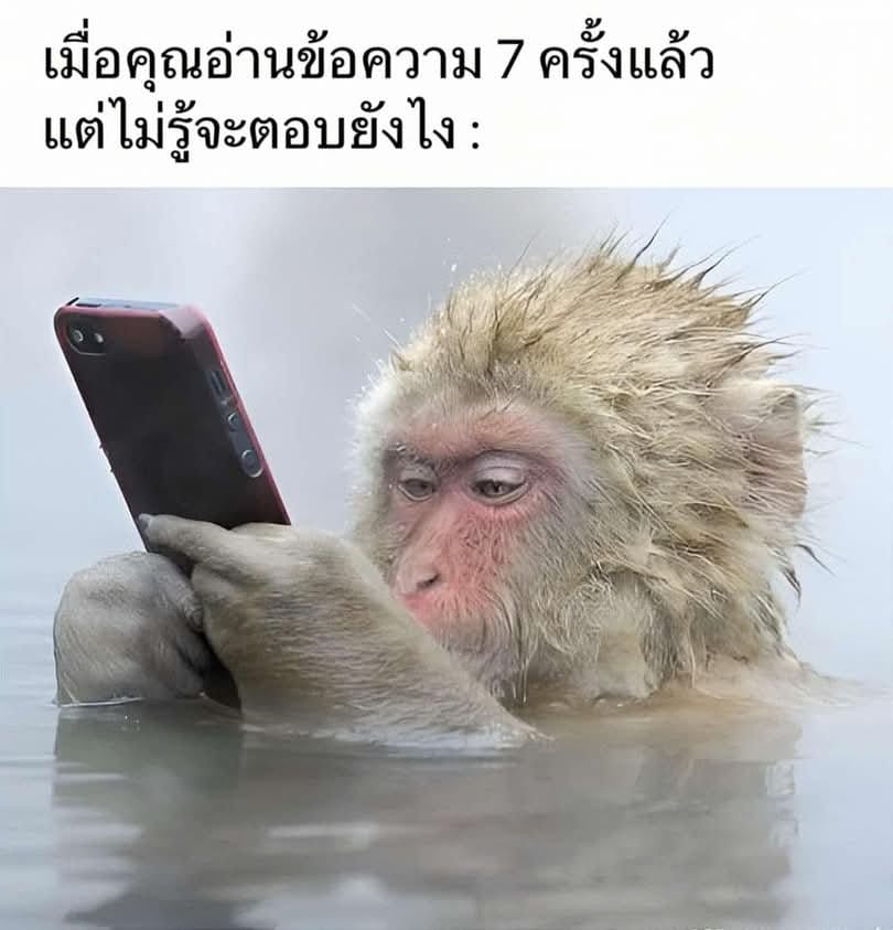 Comment 1