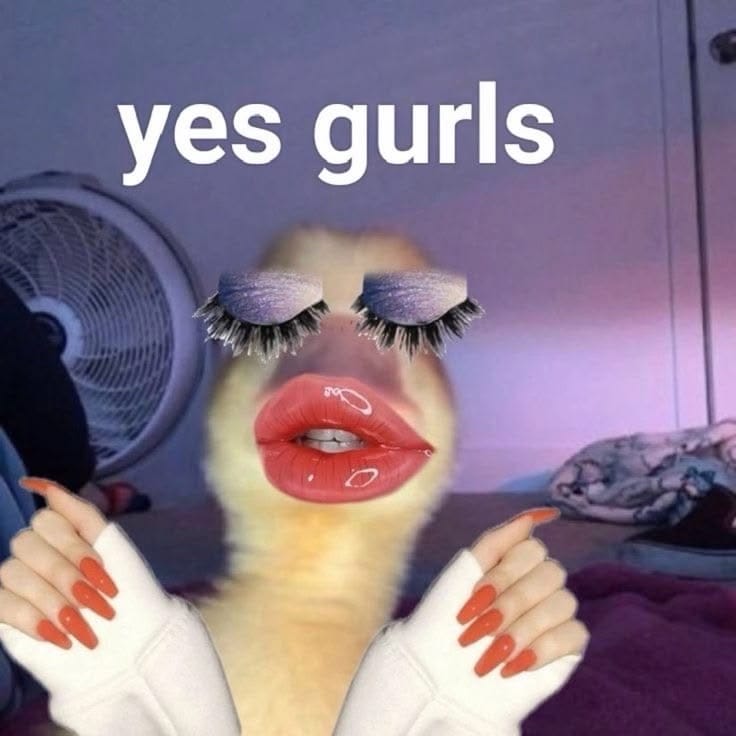 Comment 1