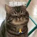 椰椰椰椰子