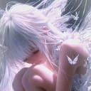 蕾泪