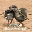 苏白