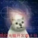测试