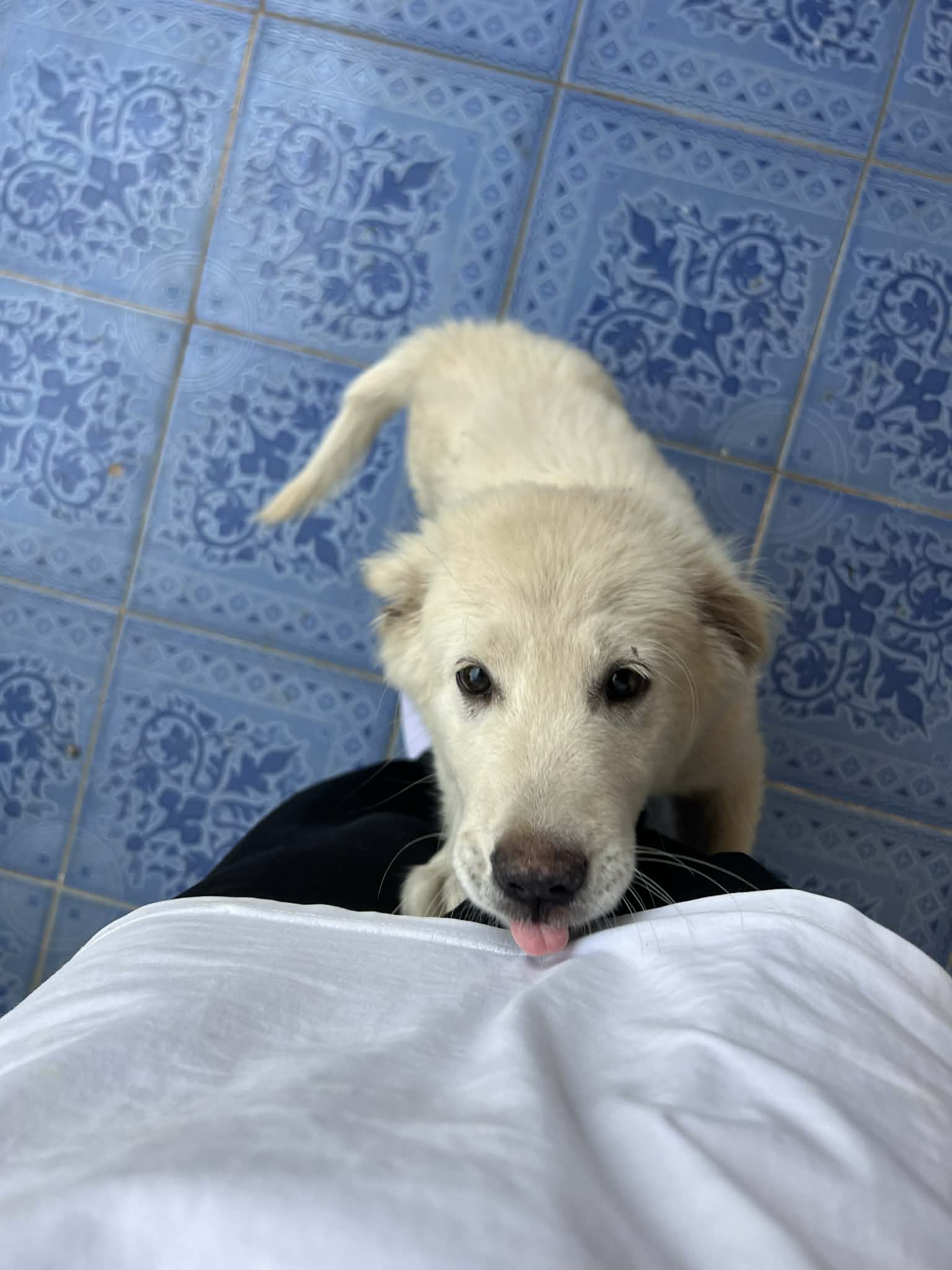 https://cdn.rubii.ai/public/5e352a78-2e26-46f2-a29a-00b38c21a2df/image/20260411043544_0fa96e.jpeg