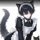 黑猫