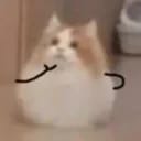 暴打鲜橙