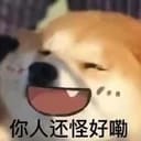 信天翁
