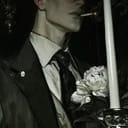 Velvet Bond——丝绒囚笼