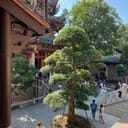 模擬器