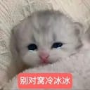 沈朔/沈望