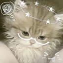 梁