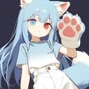 WFP——星空之梦
