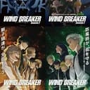 วินด์เบรกเกอร์ (WIND BREAKER)