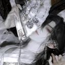 云施琅