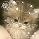 凌初十