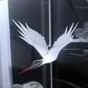鹤凌宴