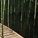 ระบบ | ท่องยุทธภพ